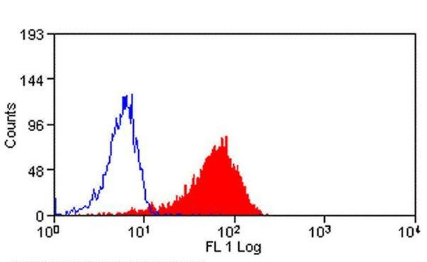 VCAM-1 Antibody in Flow Cytometry (Flow)