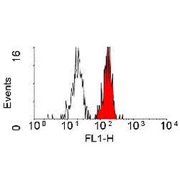 CD98 Antibody in Flow Cytometry (Flow)