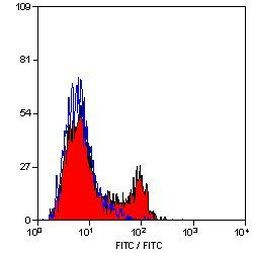 CD21 Antibody in Flow Cytometry (Flow)