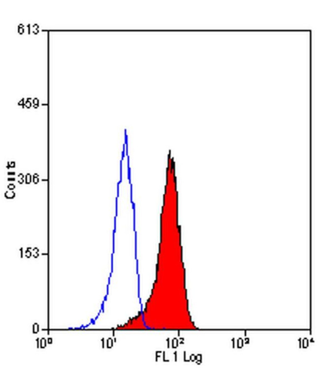 CD206 Antibody in Flow Cytometry (Flow)