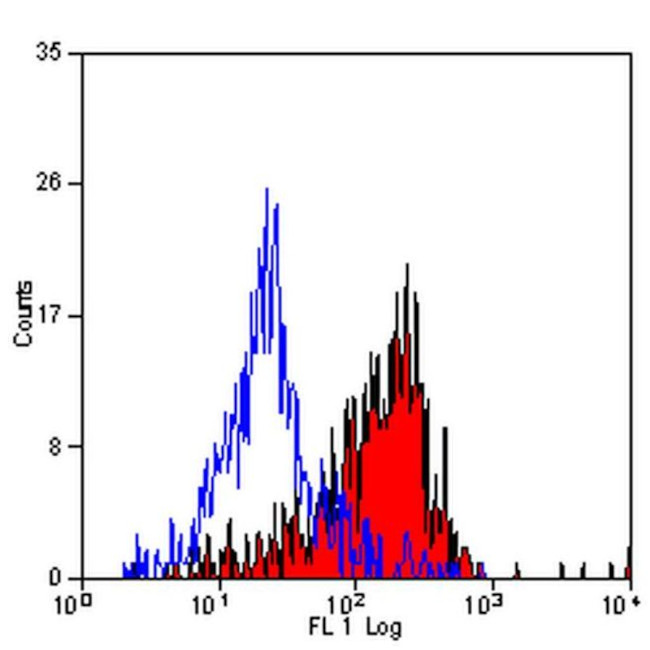 CD206 Antibody in Flow Cytometry (Flow)