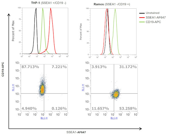 SSEA1 Antibody in Flow Cytometry (Flow)