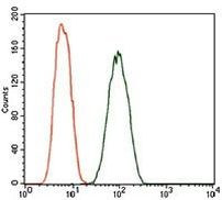 Dynactin 4 Antibody in Flow Cytometry (Flow)