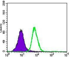 CD104 Antibody in Flow Cytometry (Flow)