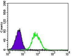 Nestin Antibody in Flow Cytometry (Flow)