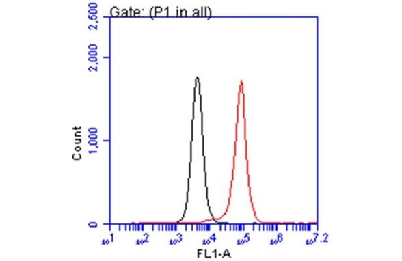 PEX19 Antibody in Flow Cytometry (Flow)