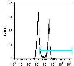 CD8 alpha Antibody in Flow Cytometry (Flow)