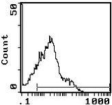 TCR beta Antibody in Flow Cytometry (Flow)