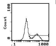 I-Ab Antibody in Flow Cytometry (Flow)