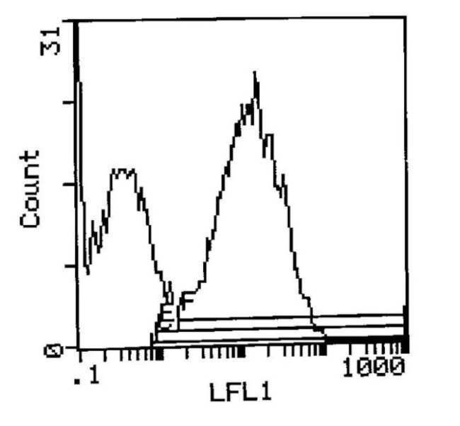 I-Ek Antibody in Flow Cytometry (Flow)