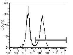 I-Ad Antibody in Flow Cytometry (Flow)