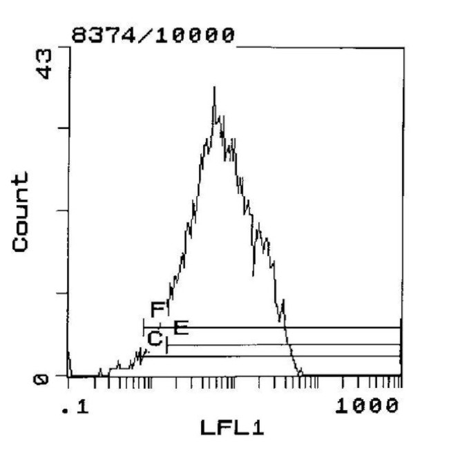 CD5 Antibody in Flow Cytometry (Flow)