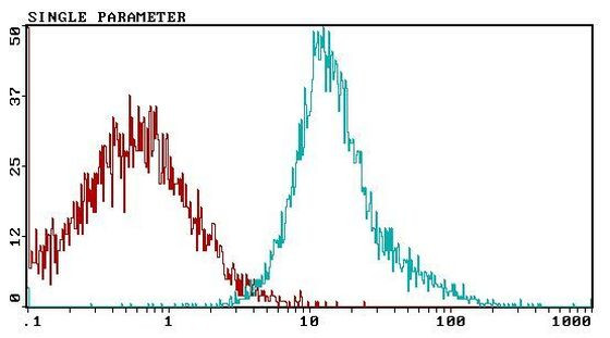 CD81 Antibody in Flow Cytometry (Flow)