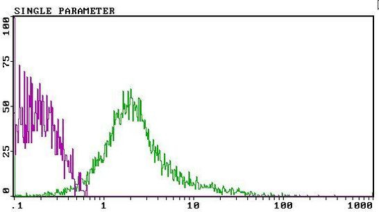 CD81 Antibody in Flow Cytometry (Flow)