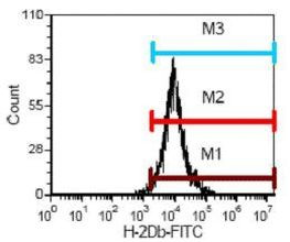 H-2Db Antibody in Flow Cytometry (Flow)