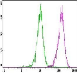 CD16/CD32 Antibody in Flow Cytometry (Flow)