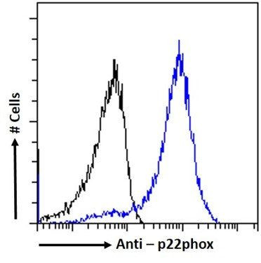 CYBA Antibody in Flow Cytometry (Flow)