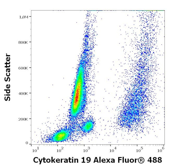 Cytokeratin 19 Antibody in Flow Cytometry (Flow)