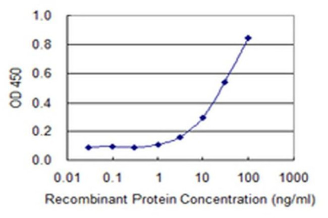 COX15 Antibody in ELISA (ELISA)