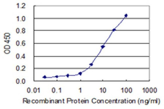 Carboxypeptidase A2 Antibody in ELISA (ELISA)