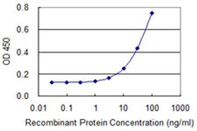 CSTF1 Antibody in ELISA (ELISA)