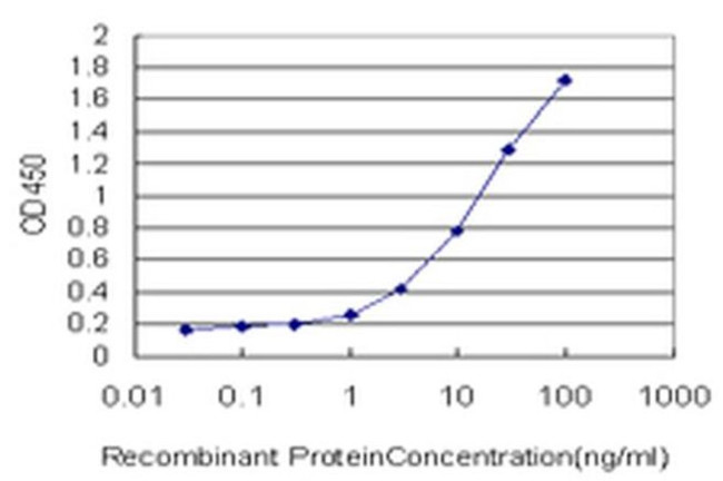 Laminin gamma-1 Antibody in ELISA (ELISA)