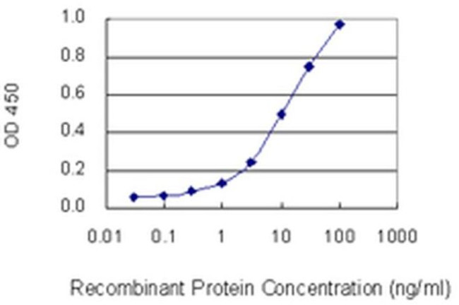 PHYH Antibody in ELISA (ELISA)