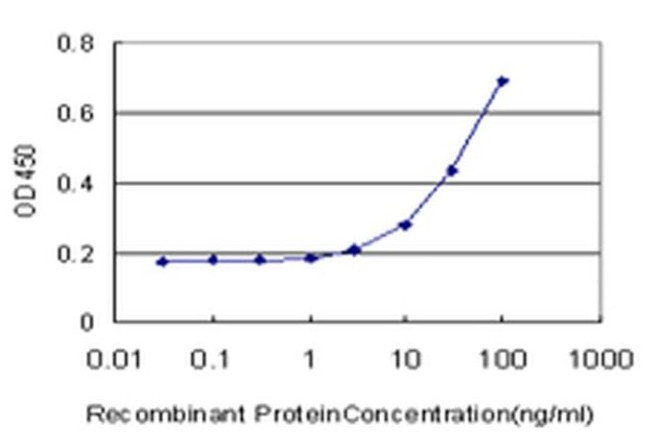 PKN1 Antibody in ELISA (ELISA)