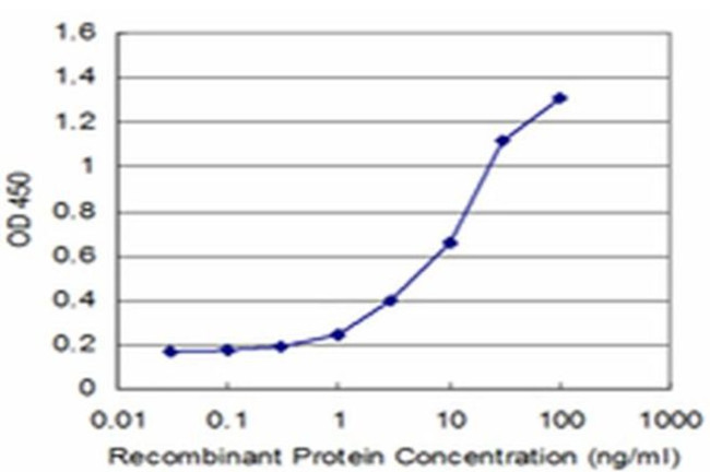 PYGM Antibody in ELISA (ELISA)