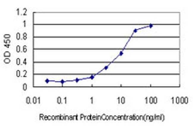 RIT2 Antibody in ELISA (ELISA)