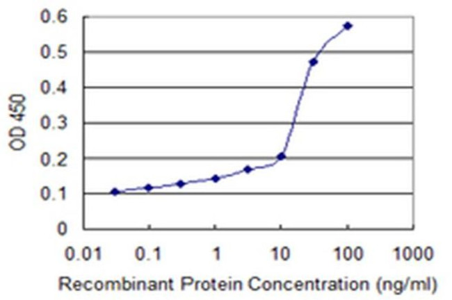 SRM Antibody in ELISA (ELISA)