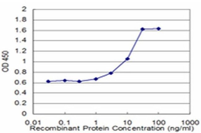 HESX1 Antibody in ELISA (ELISA)