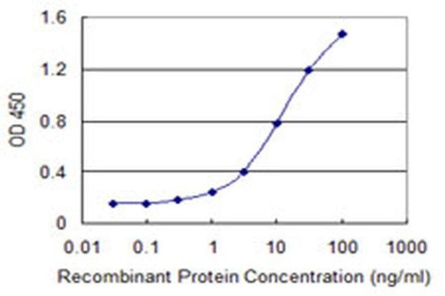 eIF5B Antibody in ELISA (ELISA)