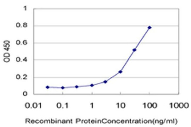 TOPORS Antibody in ELISA (ELISA)