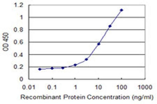 B3GNT3 Antibody in ELISA (ELISA)