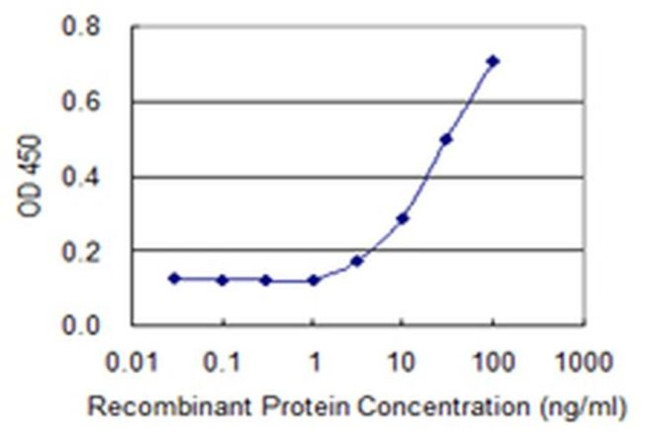 ABCA10 Antibody in ELISA (ELISA)