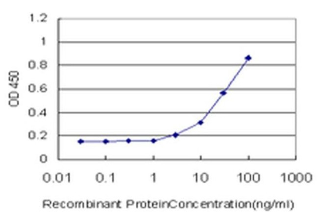 CD300c Antibody in ELISA (ELISA)