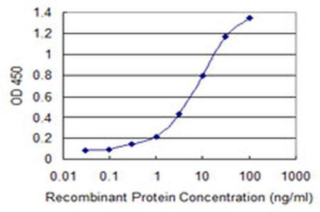 HP1 beta Antibody in ELISA (ELISA)