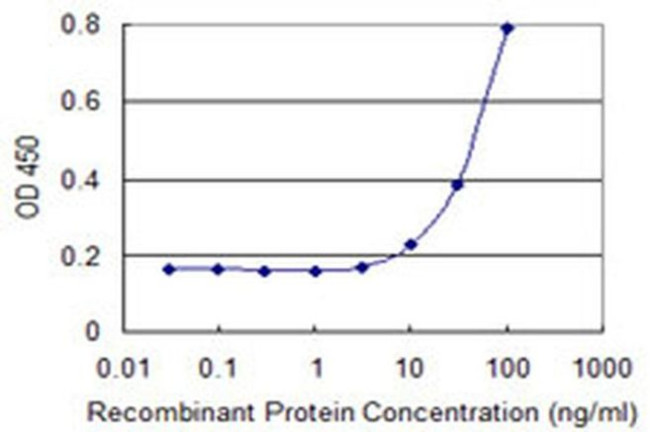 SIN3B Antibody in ELISA (ELISA)