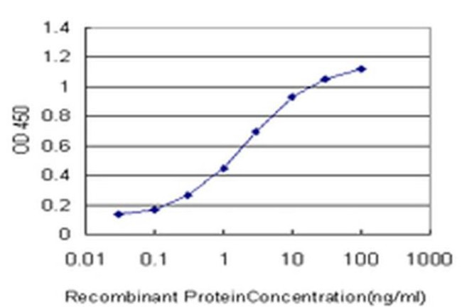 SCAND1 Antibody in ELISA (ELISA)