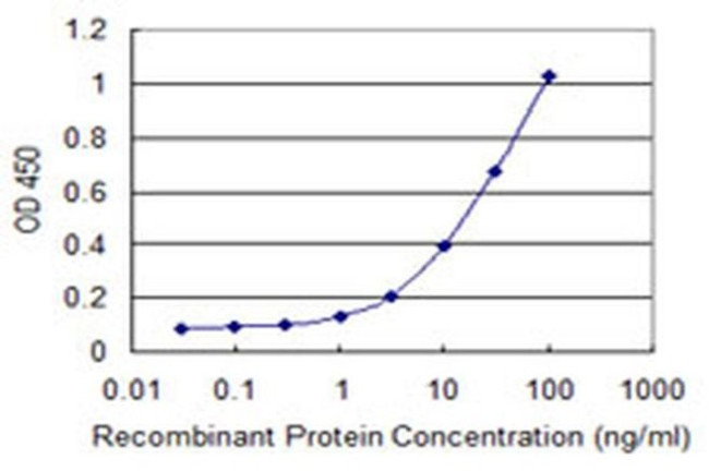 SCLY Antibody in ELISA (ELISA)