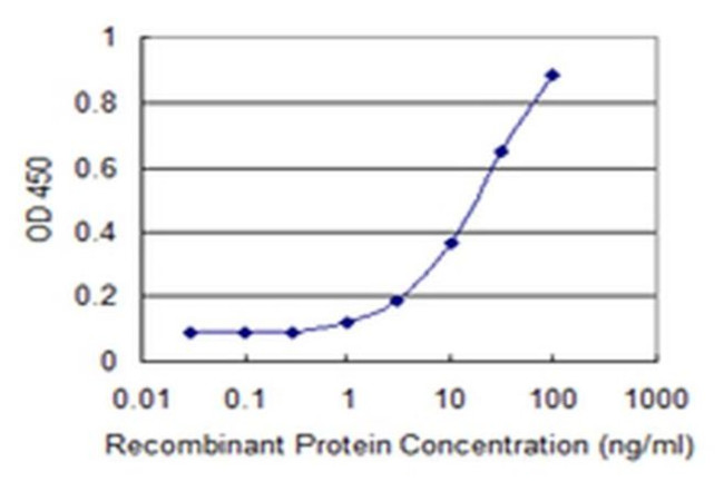 PANK4 Antibody in ELISA (ELISA)