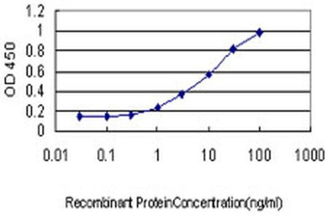 LMO3 Antibody in ELISA (ELISA)