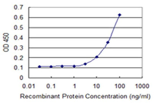 PANK3 Antibody in ELISA (ELISA)