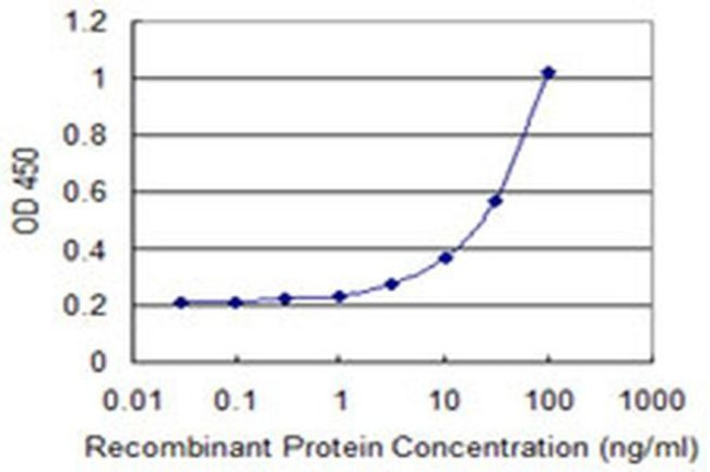 SLC25A21 Antibody in ELISA (ELISA)