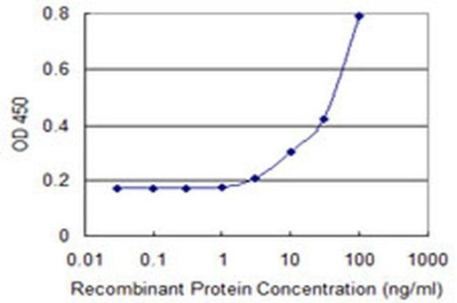 UNC5CL Antibody in ELISA (ELISA)