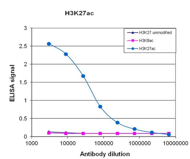 H3K27ac Antibody in peptide-ELISA (pep-ELISA)