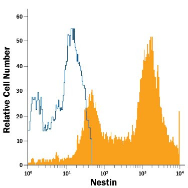 Nestin Antibody in Flow Cytometry (Flow)