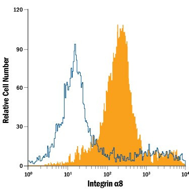 ITGA8 Antibody in Flow Cytometry (Flow)