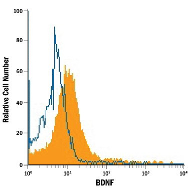 BDNF Antibody in Flow Cytometry (Flow)